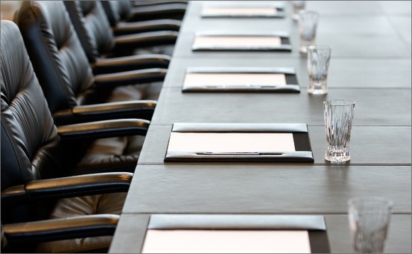 CEO & Board of Directors - Succession & Appointment 